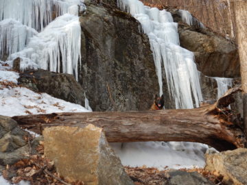 Wandered to some frozen waterfalls