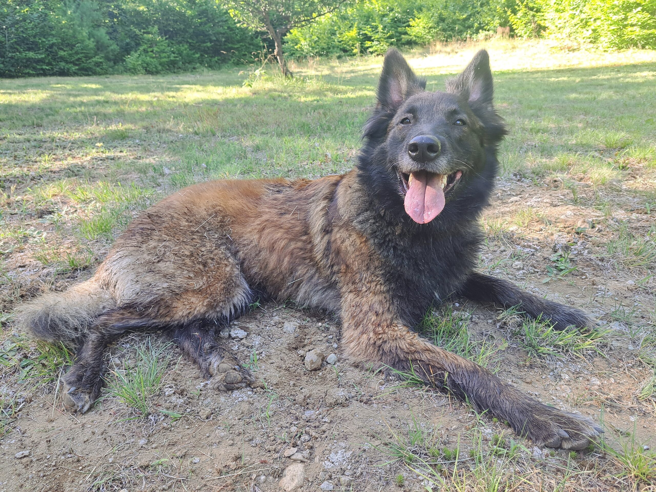 Asassy Eyes on Me du Chocorua